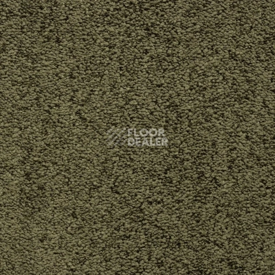 Ковролин Bonkeel Parliament Green фото 1 | FLOORDEALER